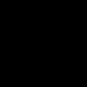 Meet your Posher, Dillon